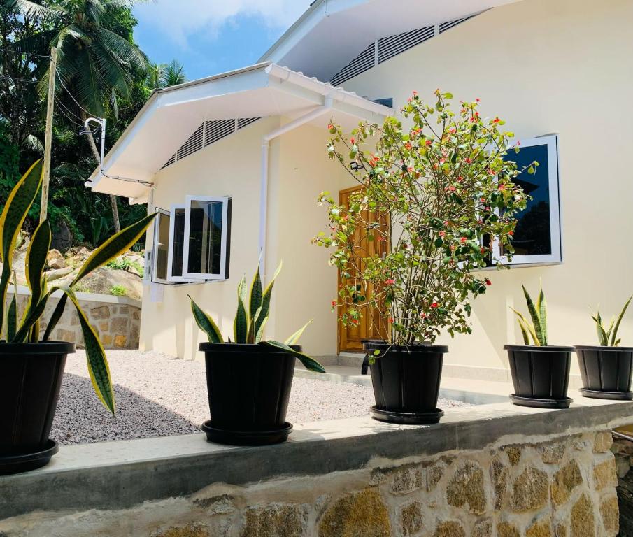 Coco Vanille Chalets, Takamaka