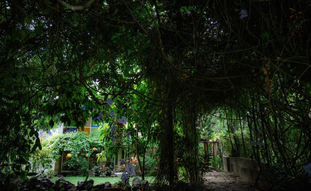 Anithya Kandy, Nikawatawana