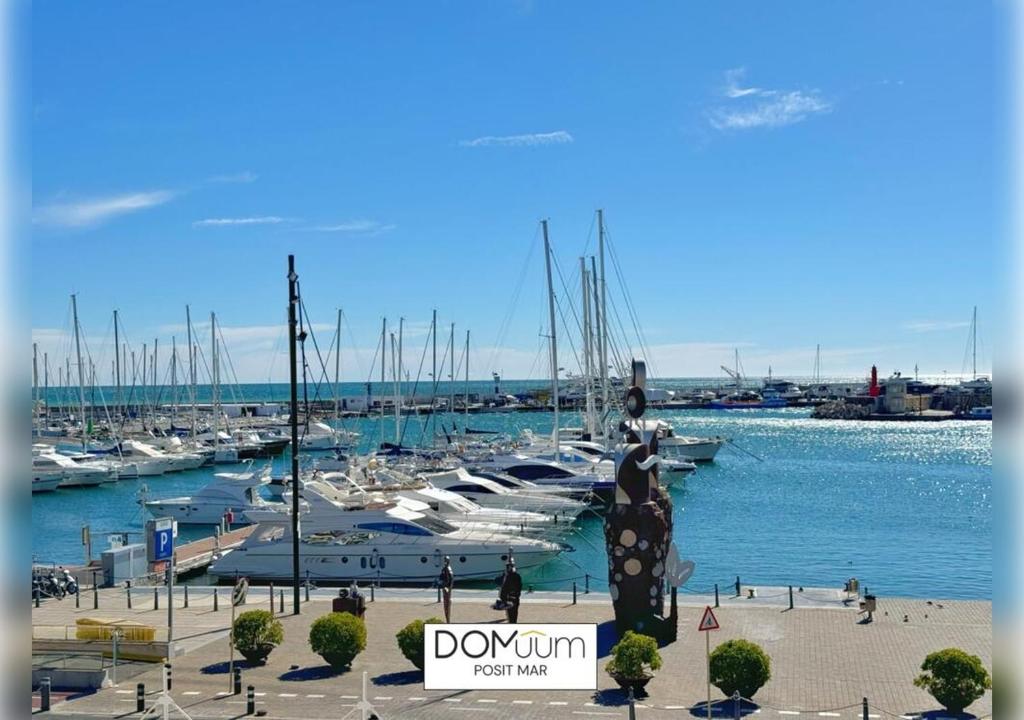 DOMuum Holidays - POSIT MAR - 2