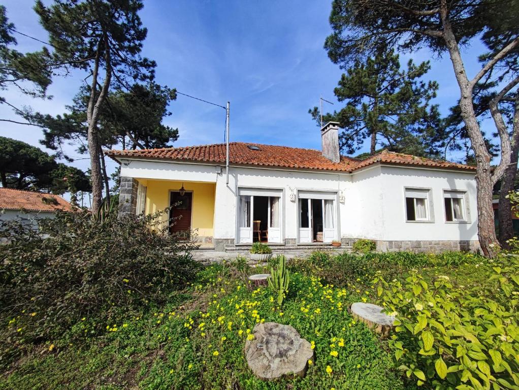 Sintra, traditional rustic V4 house in Colares, Sintra, Colares