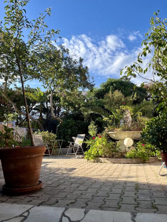 Le Patio - 3