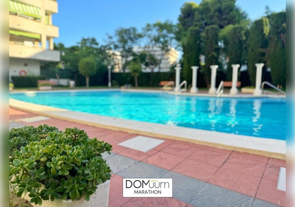DOMuum Holidays - MARATHON - 2