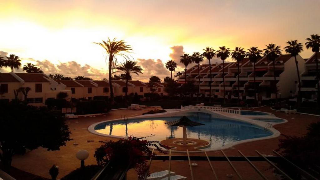 Cool Duplex in Playa las Americas, Playa de las Americas