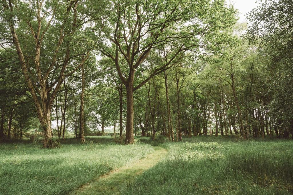 Ball Hall Farm by Wigwam Holidays photo 5