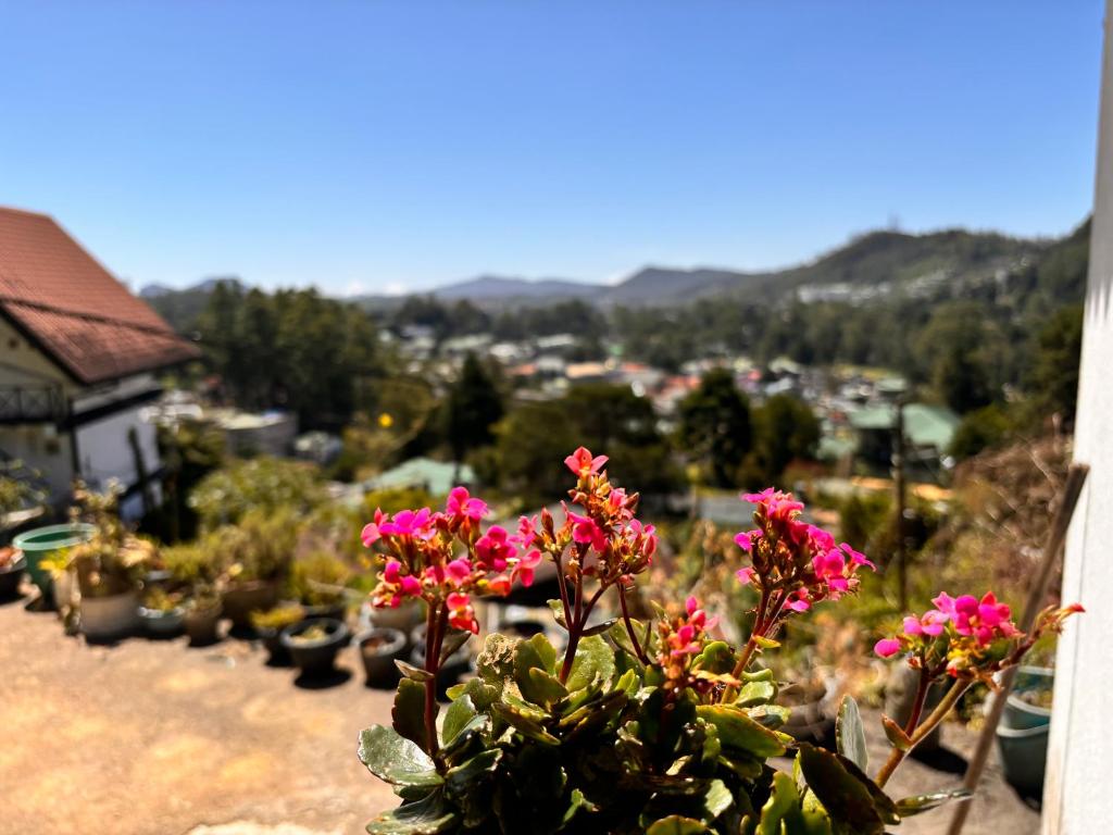 Surrounding environment