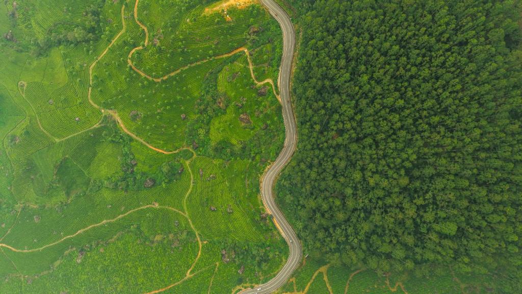 المنظر الخارجي