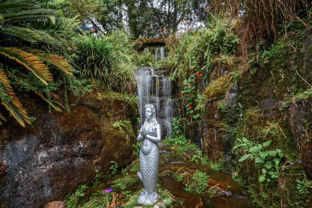 المنطقة المحيطة