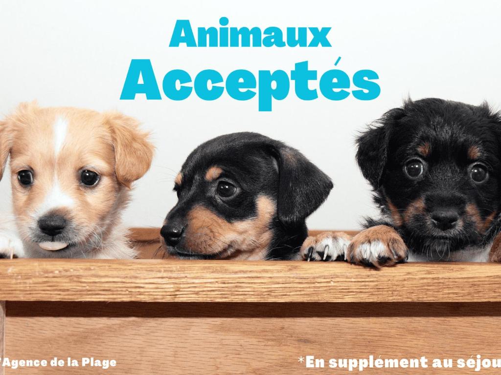 Bel appartement 2 chambres - face mer - 5 personnes, WIFI, animaux admis, parking - FR-1-323-457 - 2