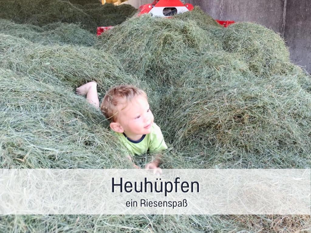 Ferienhof Eger - entspannter Urlaub mit Baby & Kleinkind - wahlweise top modern oder günstige Fewos - ruhig am Ende der Straße - Kälbchen füttern - Traktor fahren - Freie Fahrt mit den Hörnerbahnen in Sommersaison - E-Ladestation - E-bike Verleih ab Hof - 4