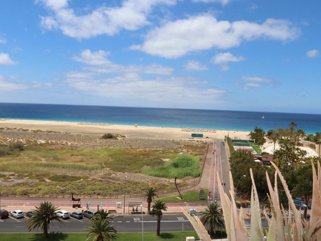 PLAYA MIRAR in Palm Garden - 3