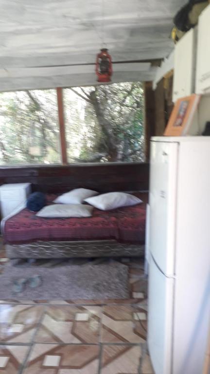 cabaña sin luz en campo - 4