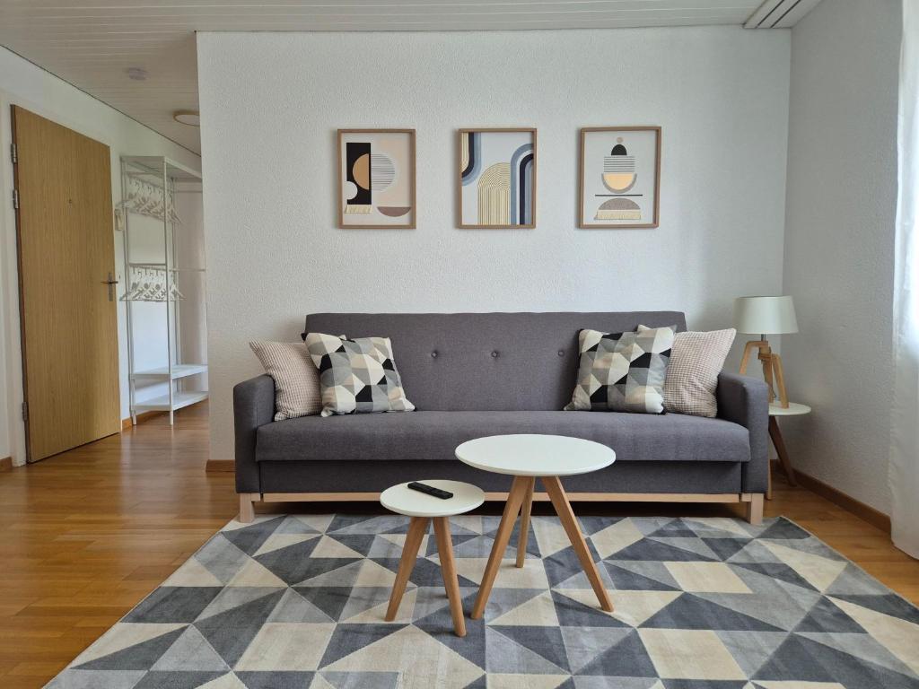 Apartment for 3, close to Zurich and Luzern, free private parking, Wohlen