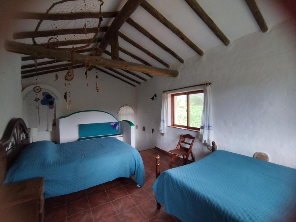 Horse Inn - Posada - 4