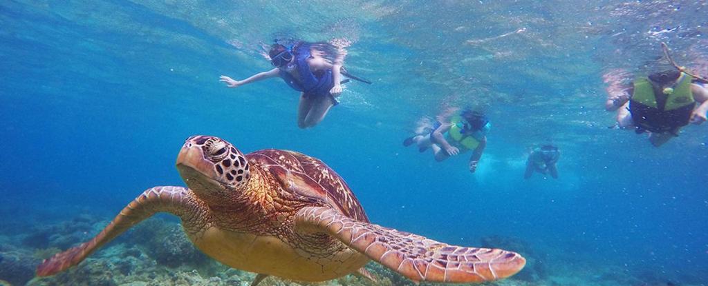 Sports and activities