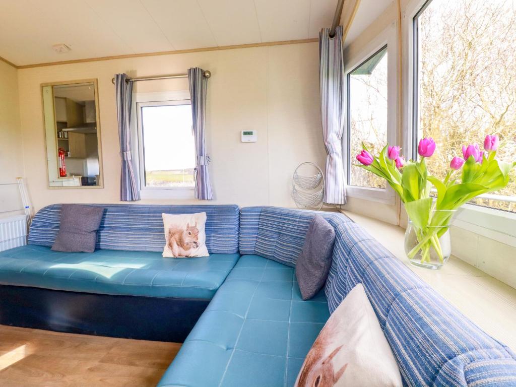 Little Trevorrick Caravan, Wadebridge