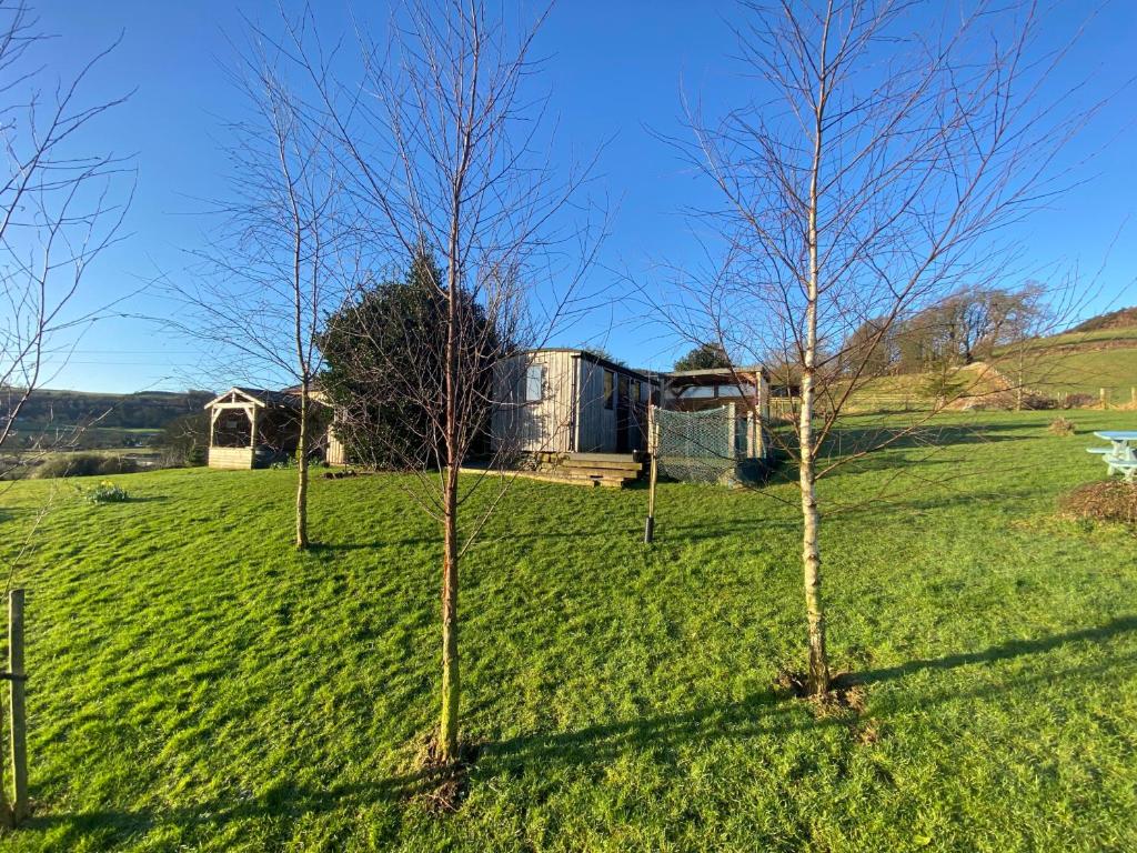 Shepherds Hut with Hot Tub, Dumfries - pet-friendly stay