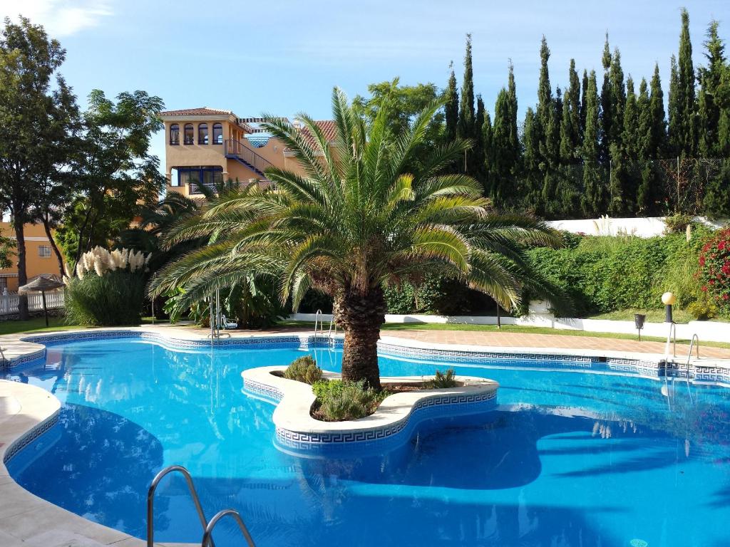 Albatros Beach Club - 2