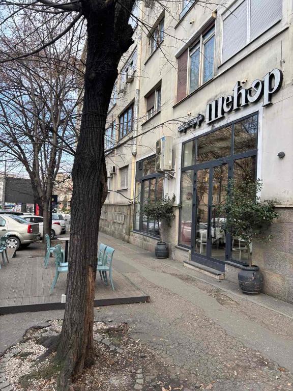Apartman Knez - 5