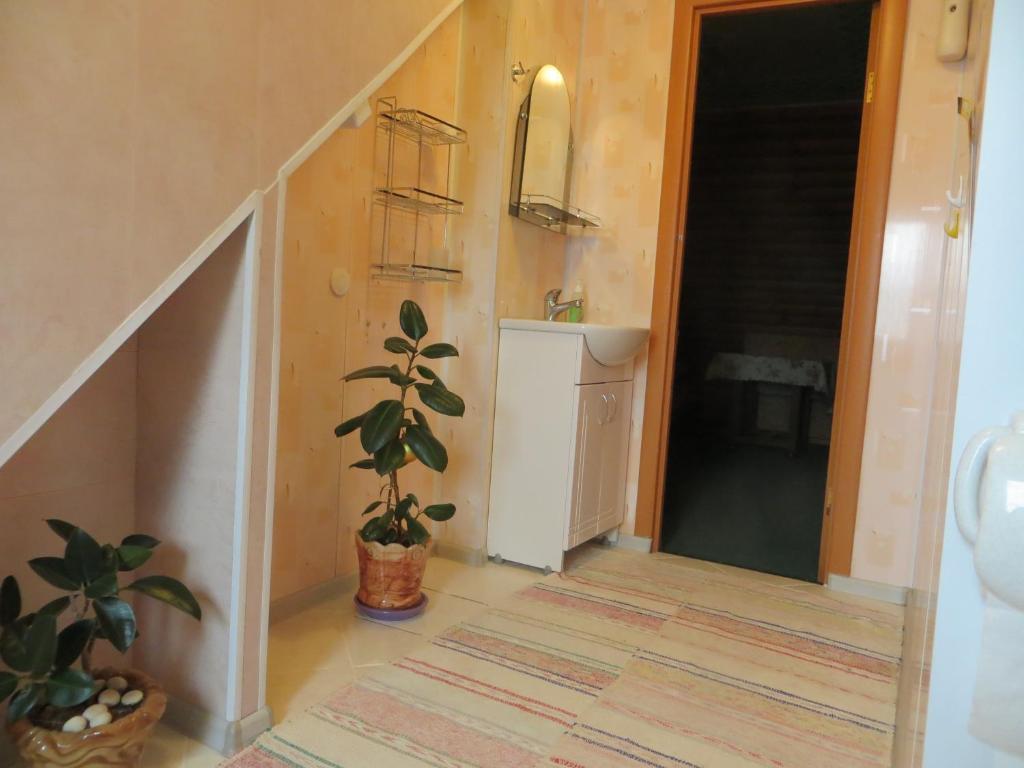 Guest House Valentain photo