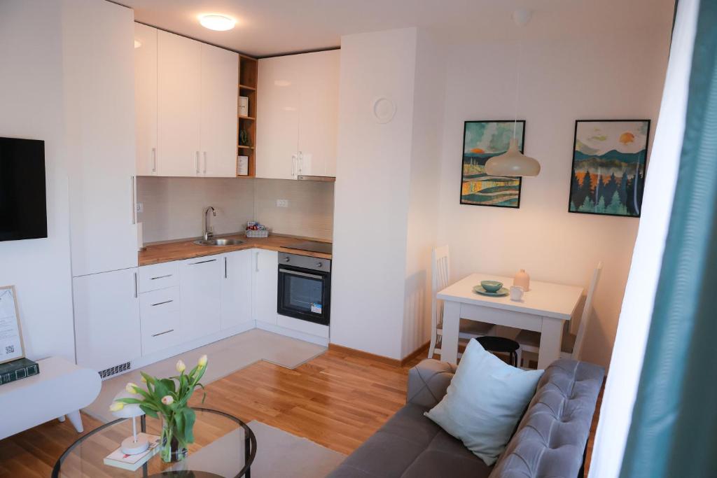 Apartman Mint&White Borik - 4
