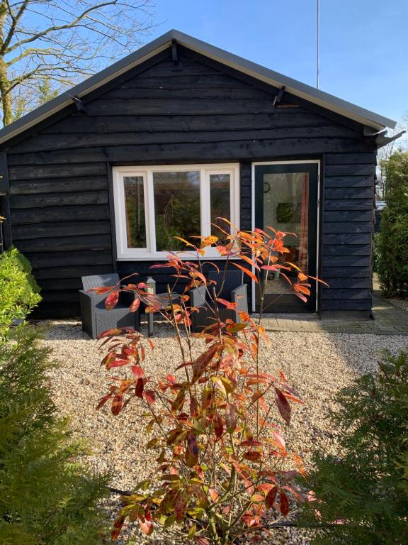 Veluwse Bos en Heide Studio, Otterlo