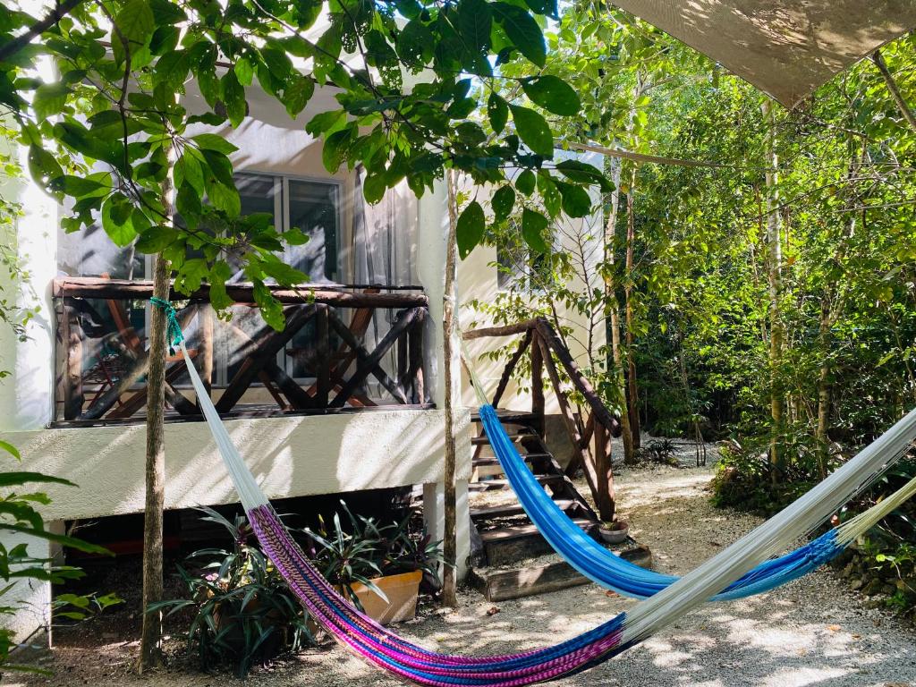 Eco Bungalow Bé La Kin - 1