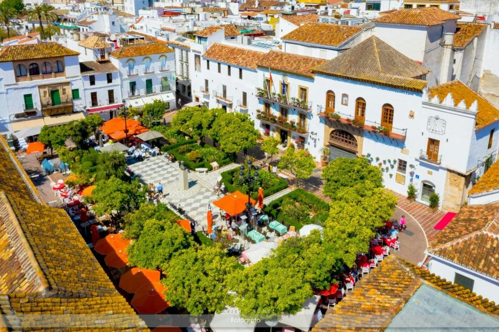Apartamento Plaza de los naranjos - 3