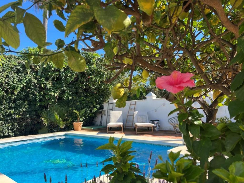 Lovely villa in San Pedro de Alcantara, Marbella - 2