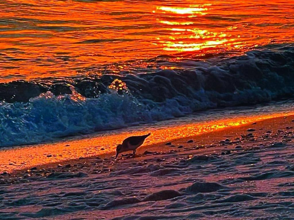 Origin Unit 911, Panama City Beach