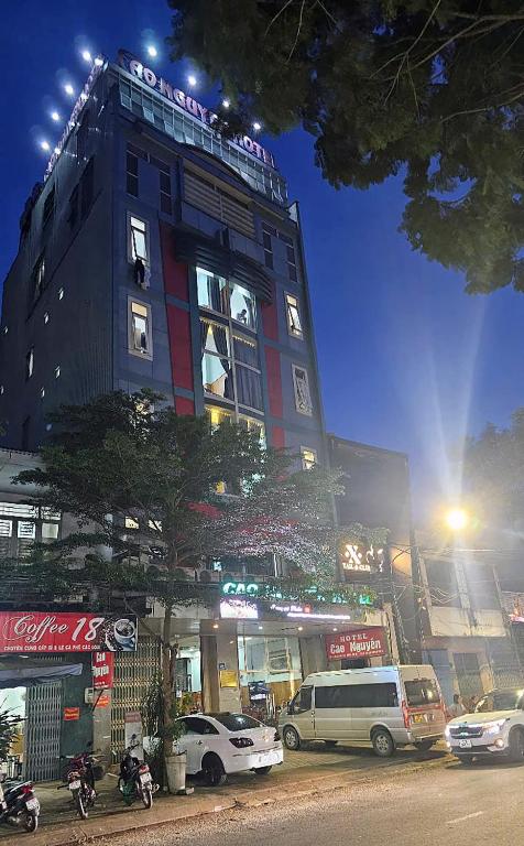 카오 응우옌 호텔   (Cao Nguyen Hotel)