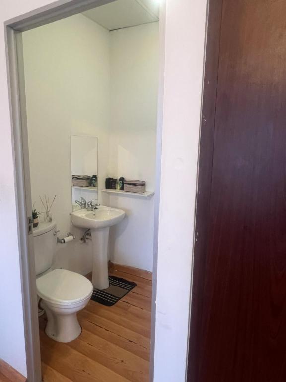 Colossume, Johannesburg