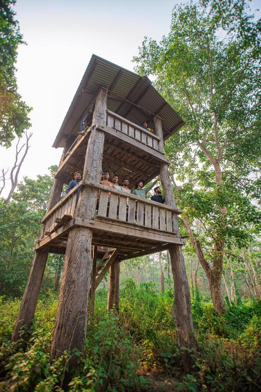 المنطقة المحيطة