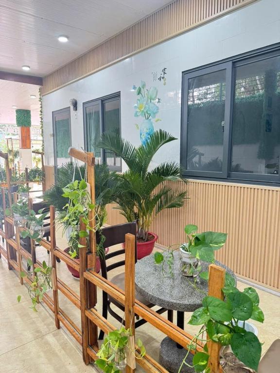 Dương Đông Town Homestay