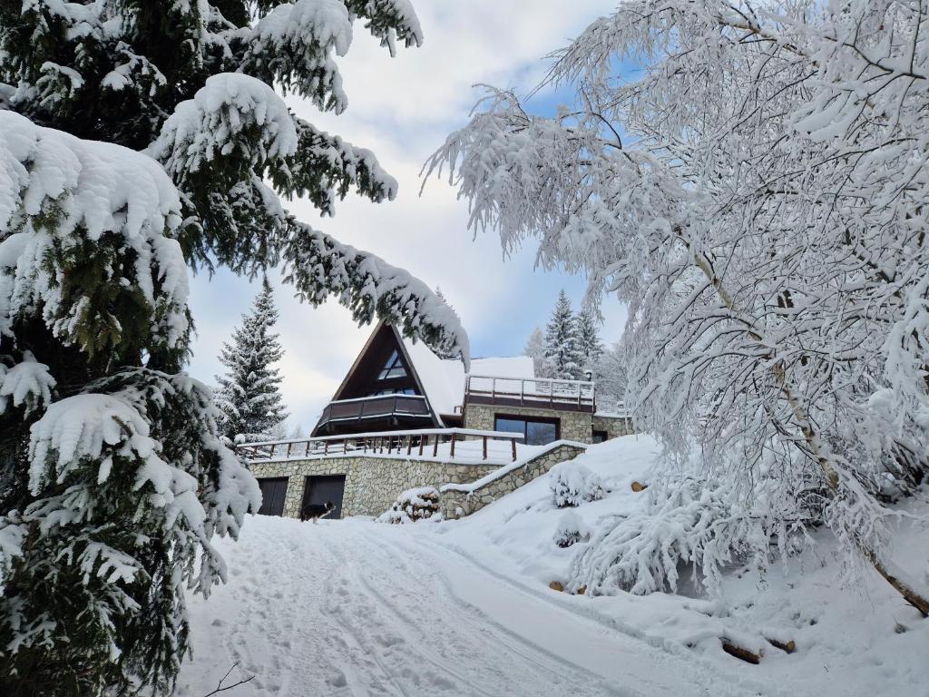 le chalet pointu de capucine - 2