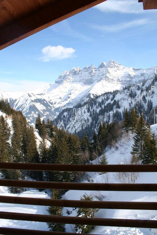 Appartement ski in and ski out - 5