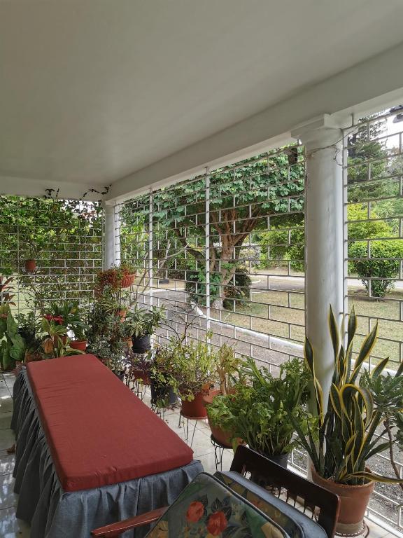 Sammy's place, Kingston