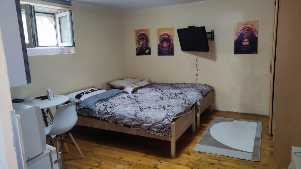 Goxy flat, Bělehrad