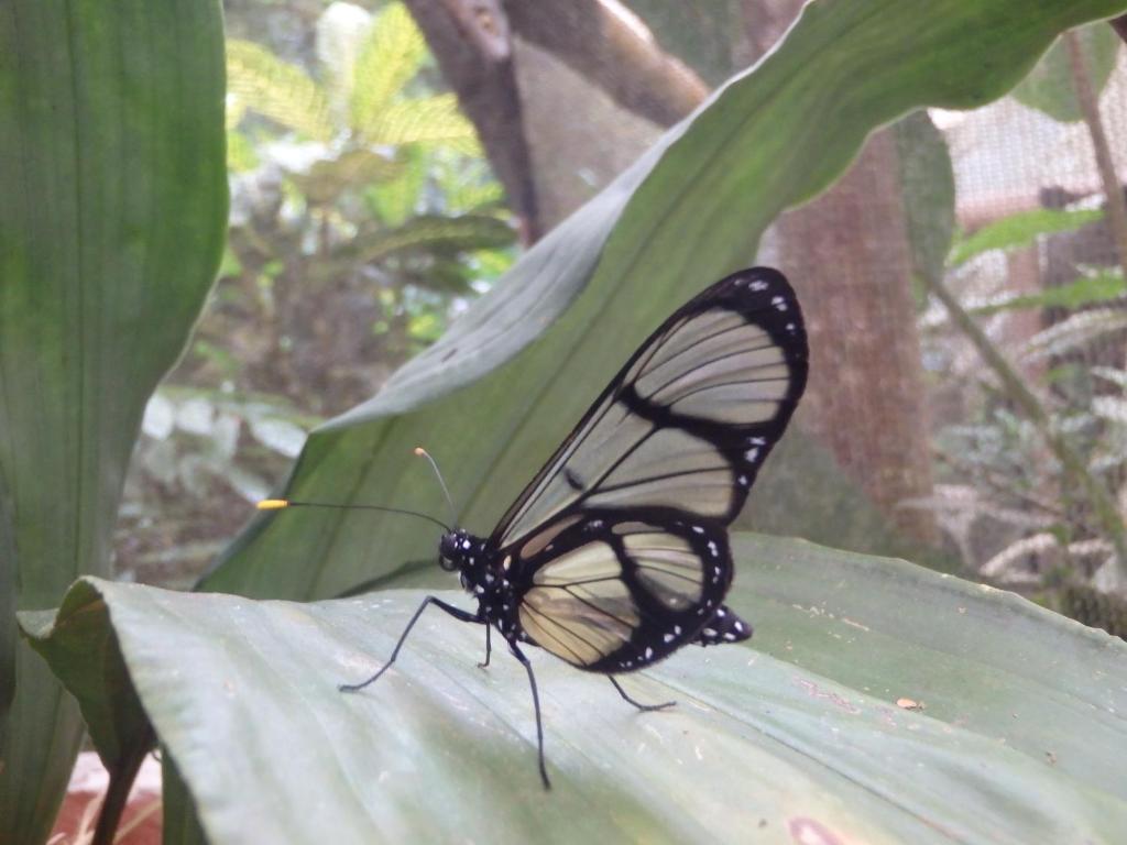 Surrounding environment