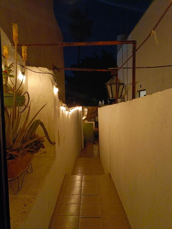 Casa Olivo - 4