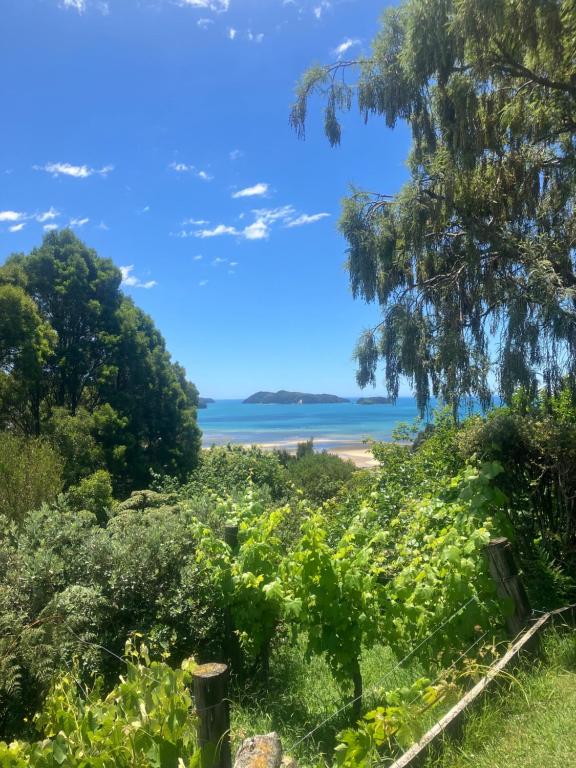 Whitebait Point, Kaiteriteri