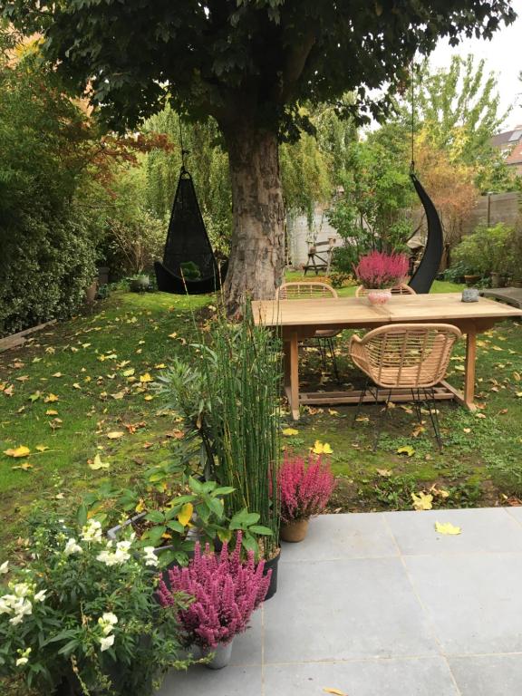 Petit cocon lillois:Cheminée & jardin - 3