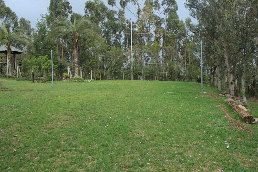 Comfortable and quiet tiny home close to the city - 5