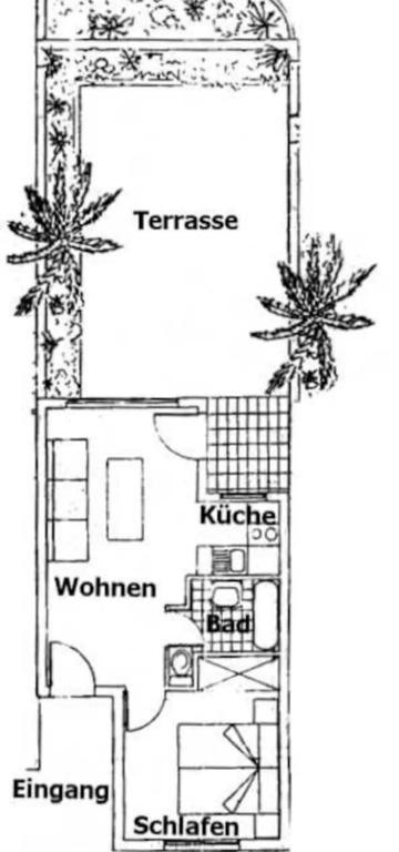 Casa Lirio - 5