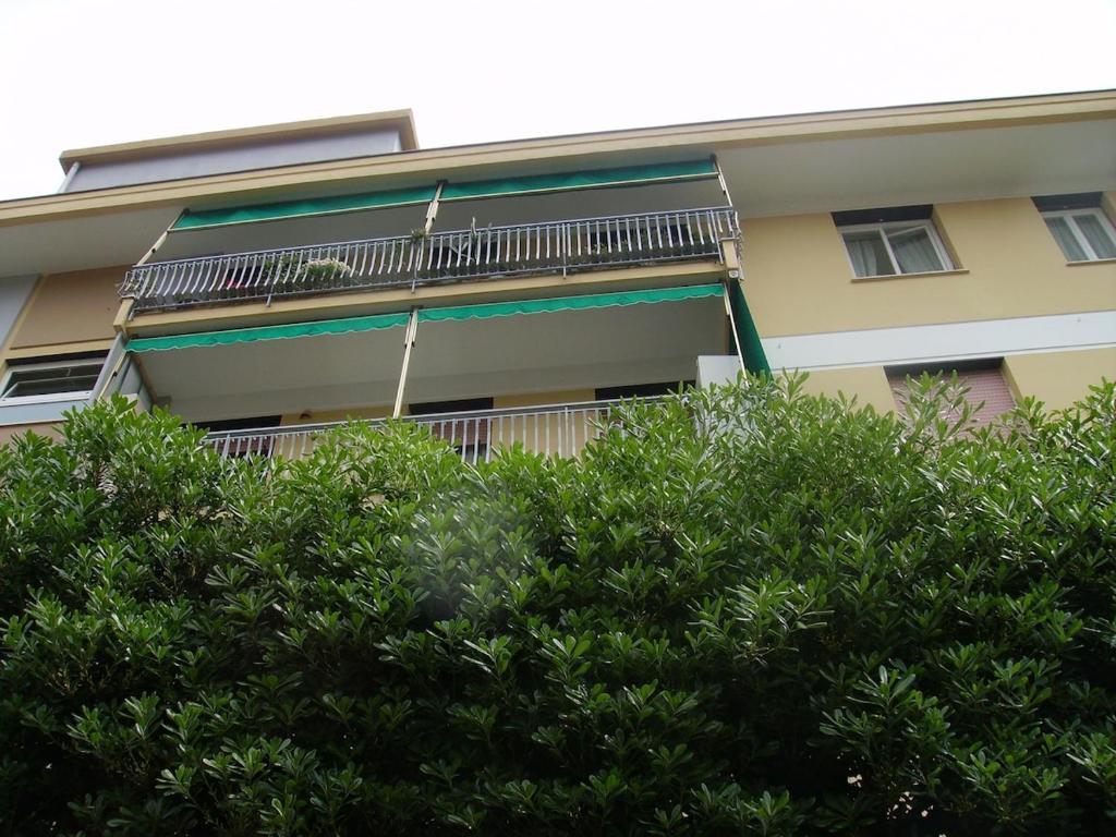 Il Pitosforo, Rapallo