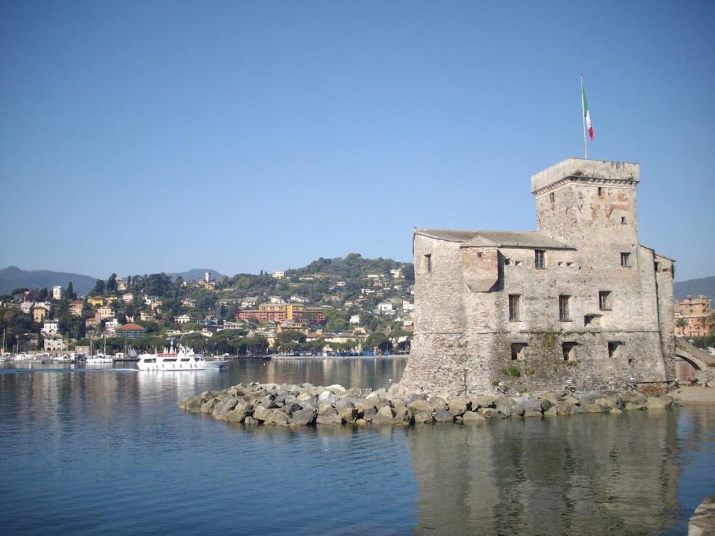 Il Pitosforo - 4