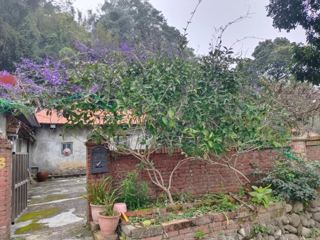 Shi Qian Zai Homestay