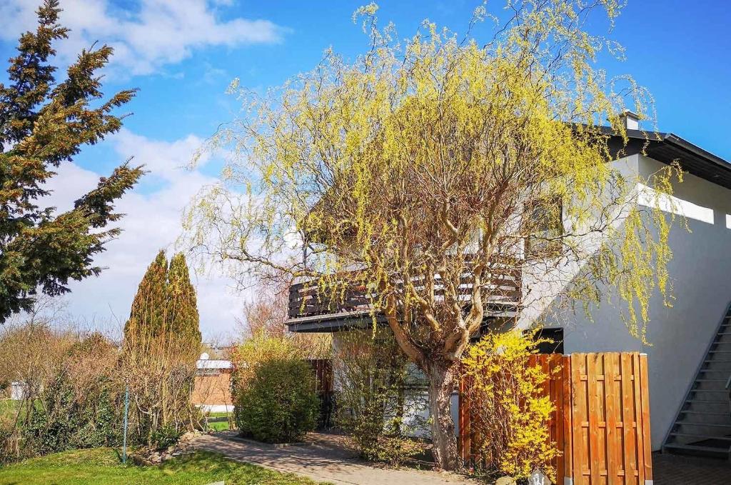 FeWo Merle Nr1 - Kemnitz, Dahme