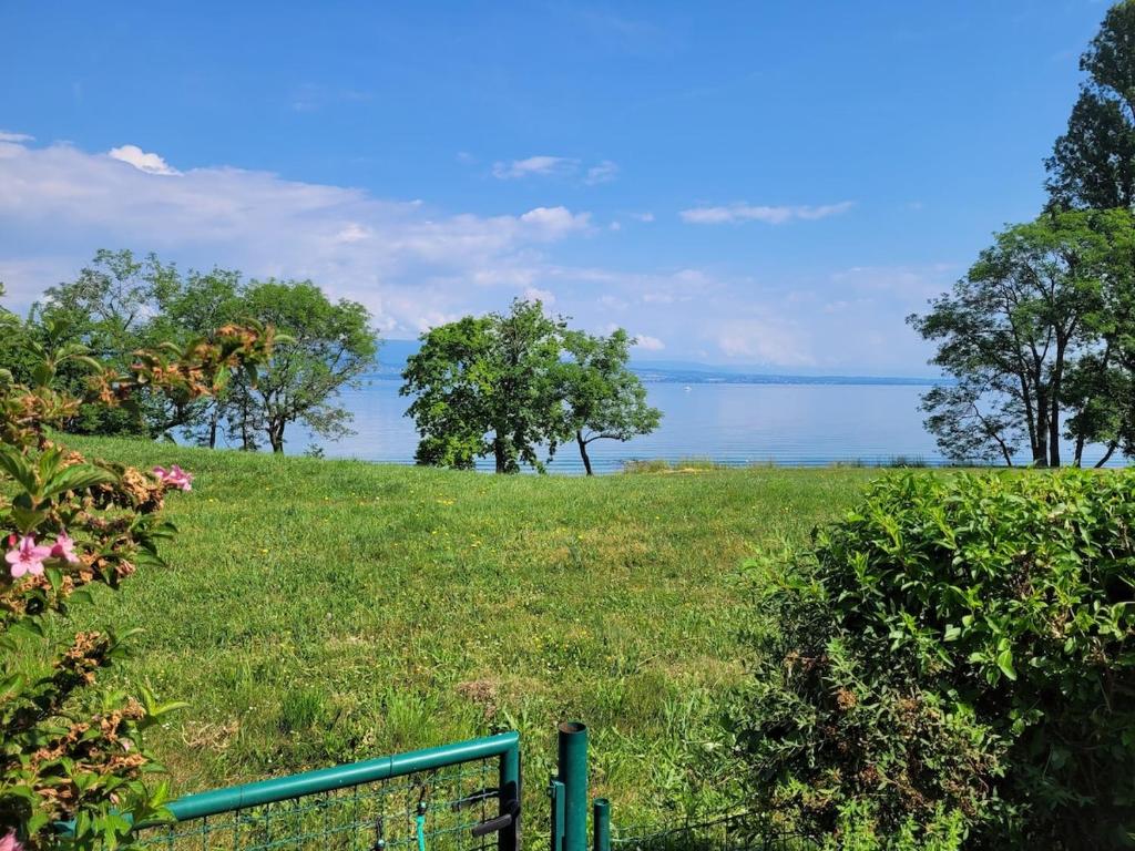 Appartement les pieds dans le Lac Léman - 1