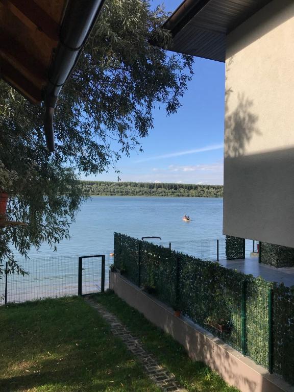 Bird of Paradise - 3