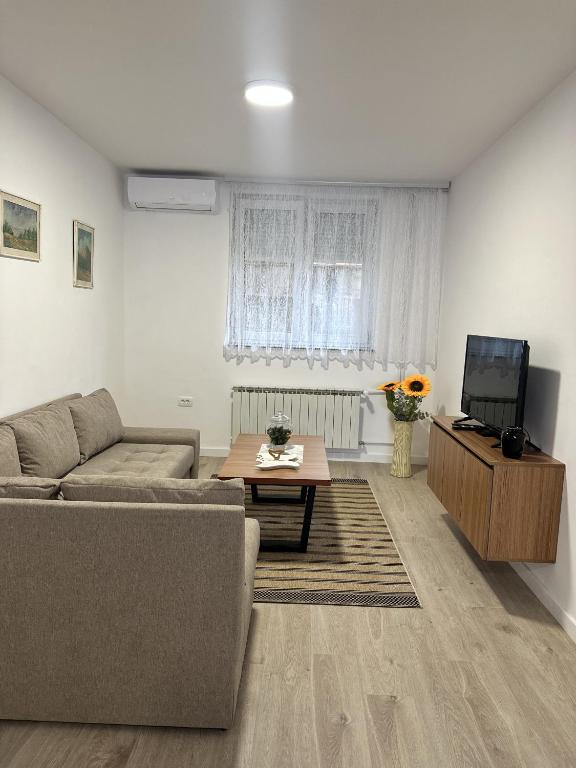 Apartment Dario - 5